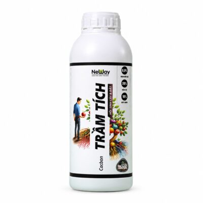 Carbon Trầm Tích trên nền trắng