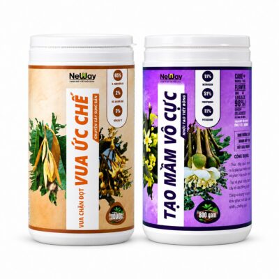 Combo Tạo mầm lần 2 trên nền trắng