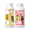 Combo Chuyển mầm hoa trên nền trắng