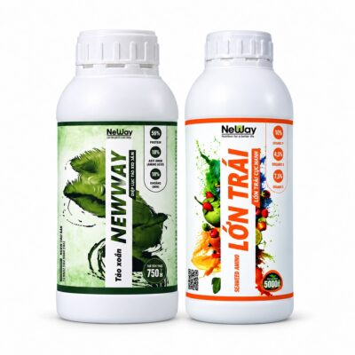 Combo Nuôi trái với Tảo Xoắn và Lớn Trái trên nền trắng