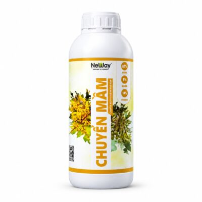 Chuyển Mầm trên nền trắng