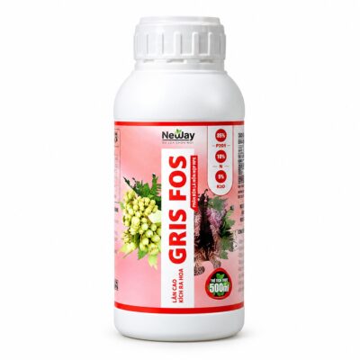 Gris Fos trên nền trắng